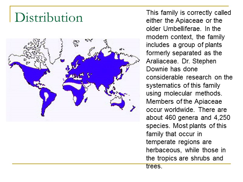 Distribution This family is correctly called either the Apiaceae or the older Umbelliferae. In